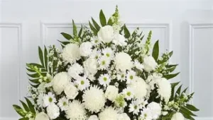 Read more about the article Will Hansen Coast – Queensland, Death Obituary: An Australian Swimmer Has Passed Away