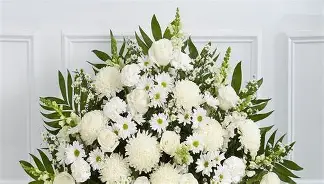 You are currently viewing Will Hansen Coast – Queensland, Death Obituary: An Australian Swimmer Has Passed Away